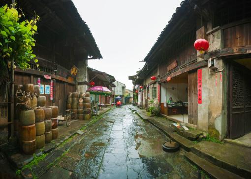 救援卷耳兔